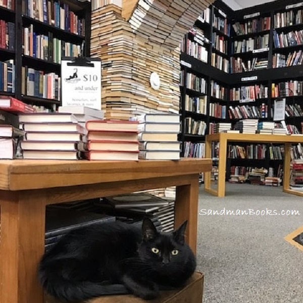 A picture of the resident bookstore black cat, Kitty-Wan Kenobi, in front of the Book Arch at Sandman Books, Punta Gorda, Florida. Star Wars Fans Book Lovers Wedding Book Arch Sustainable Local Artwork Sculpture Landmark Tourism Pet Friendly Vacation Sell Used New Books Bookstore Bookshop Library Rainbow Unique Unconventional Wedding Venue 