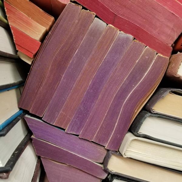 A close-up of the purple books in the Book Arch at Sandman Books Punta Gorda, Florida. Florida Tourism Tourist Local Art Artist Artwork Fantasy Harry Potter Beauty and the Beast Disney Wedding Photography Unconventional Unique Venue Sell Used New Books Bookstore Bookshop Library  