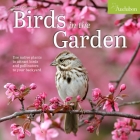 Audubon Birds in the Garden Wall Calendar 2025: Use Native Plants to Attract Birds and Pollinators to Your Backyard By National Audubon Society, Workman Calendars Cover Image