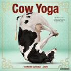 Cow Yoga 2025 12 X 12 Wall Calendar By Willow Creek Press Cover Image